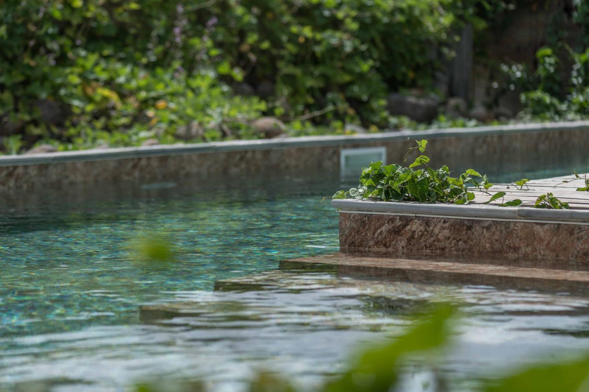 T2 Moderne Avec Piscine Oasis De Nature Et Serenite Petit-Canal Экстерьер фото